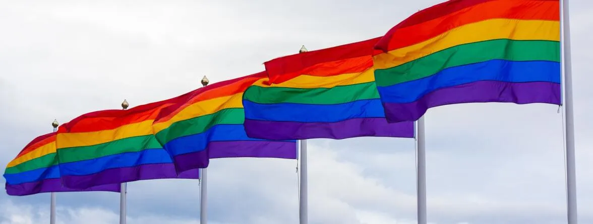 An image of rainbow flags standing outside.